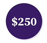 $250 donation icon